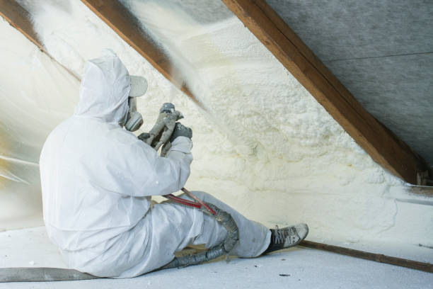 Best Batt and Roll Insulation  in Denison, IA