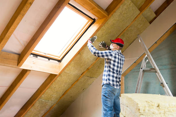 Best Spray Foam Insulation  in Denison, IA